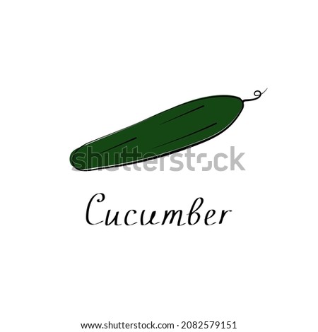 Cucumber illustration isolated on white background. Vector flat sign