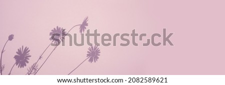 Shadow of flowers on pink background. Sun day. Web banner, copy space.