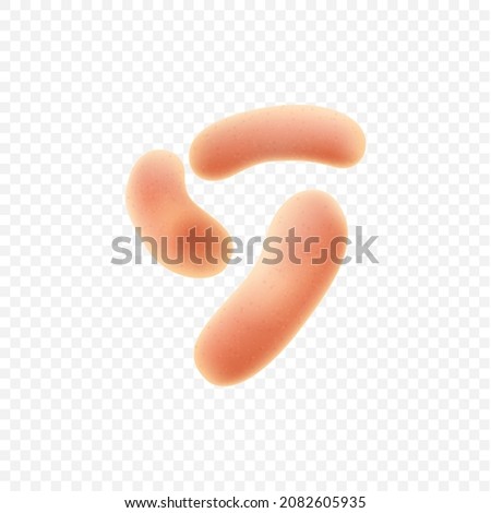 Set of symbiotic human bacteria realistic isolated on white background. Probiotic microorganisms colony. Human intestinal microflora concept. Realistic vector illustration Royalty-Free Stock Photo #2082605935