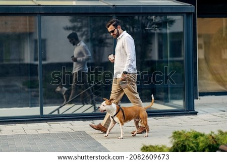 A businessman with sunglasses dressed smart casual is holding coffee to go and walking his dog in the urban exterior. A businessman with a dog on a leash Royalty-Free Stock Photo #2082609673
