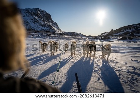 Dog sledding in Sisimiut Greenland
