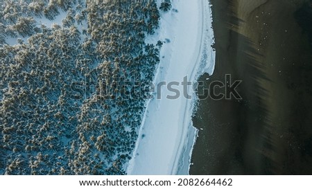 Winter view with trees from drone