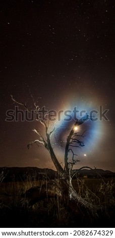 starry night with milky way and fallen tree