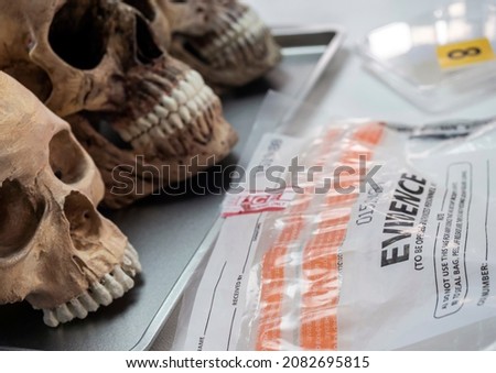 Evidence bag with human lskull in forensic lab murder investigation, conceptual image Royalty-Free Stock Photo #2082695815