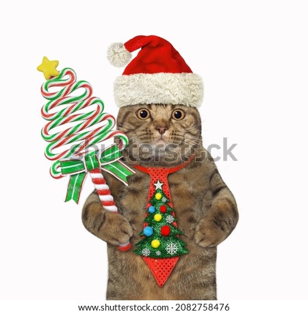 A beige cat in a holiday tie with a lollipop for Christmas. White background. Isolated.