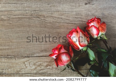 Three red and white roses on green legs lie diagonally in the corner parallel to each other on wooden brown textured background, festive concept with place for text, flat lay