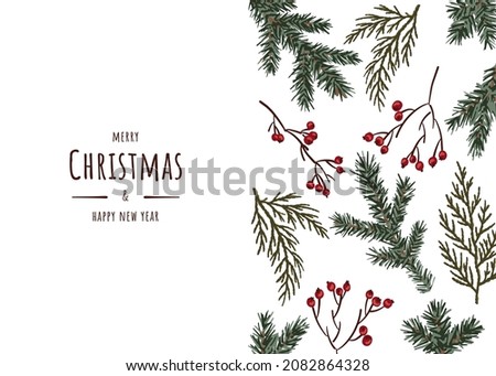 Merry Christmas and happy new year postcard. Christmas tree, thuja, red berries. Vector illustration