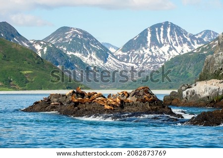 Kamchatka Peninsula, Russia. Sea excursions to sea lions off the coast and volcanoes of Kamchatka