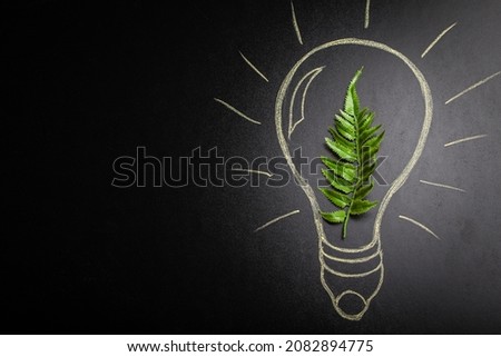 Green leaf top view flat lay inside an electric lightbulb hand-drawn on black chalk board background, green sustainable renewable power, energy saving and ecology concept, space for text