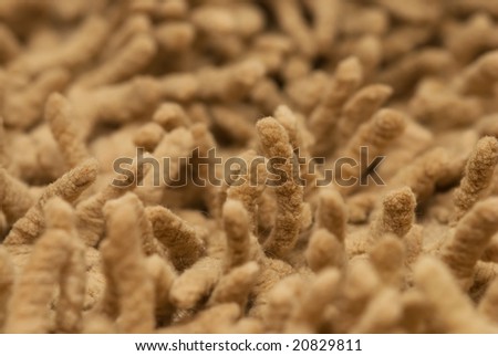 Hairy beige carpet textured background