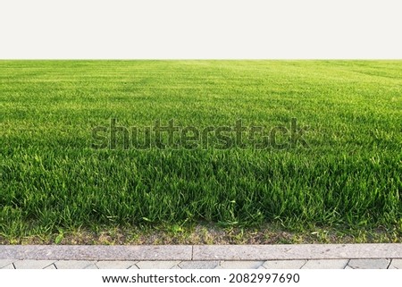Smooth green grass, lawn against the background of a large blue sky on a sunny day. Wide view of the manicured lawn. The natural background of yellow-green grass in the rays of the setting sun.        Royalty-Free Stock Photo #2082997690