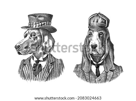 Bloodhound and German Shorthaired Pointer. Dog dressed up in suit and bowler hat. Fashion Animal character in clothes. Hand drawn sketch. Vector engraved illustration for label, logo and T-shirts