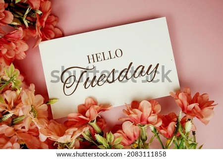 Hello Tuesday typography text with flowers frame on pink background