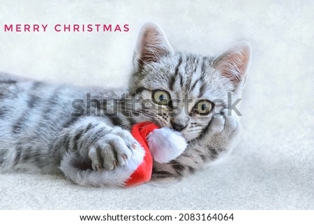 Beautiful Christmas images containing dolls, cats and flowers.