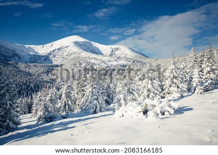 Fabulous view of snow-capped mountains on frosty day. Location place Carpathian mountains, Ukraine, Europe. Photo of winter vacation. Happy New Year celebration concept. Discover the beauty of earth.