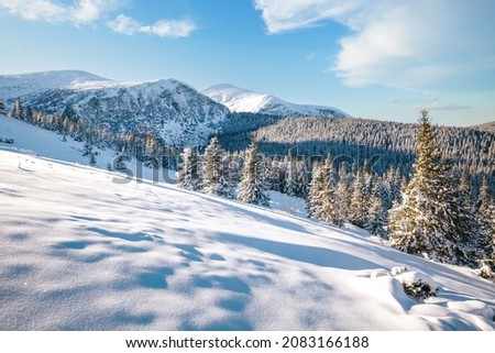 Fabulous view of snow-capped mountains on frosty day. Location place Carpathian mountains, Ukraine, Europe. Photo of winter vacation. Happy New Year celebration concept. Discover the beauty of earth.