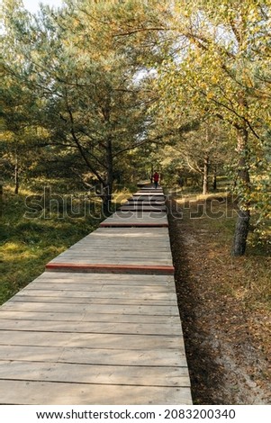 An ecological Wooden walkway (promenade) through the forest in a public park, a man in red clothes stands with his back and takes pictures on his phone. Curonian Spit