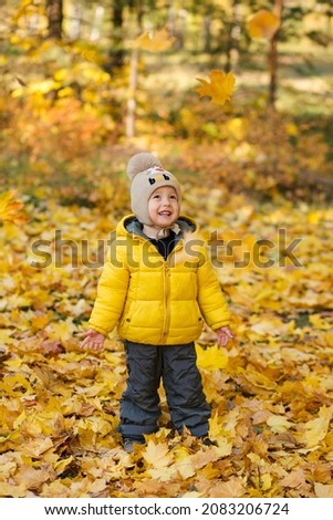 Cute toddler boy in funny knitted cap have fun throwing yellow maple leaves in autumn park