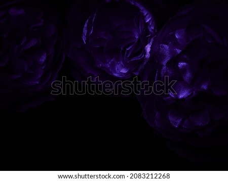Beautiful abstract  blue and purple flowers on black background, black flower frame, dark leaves texture, purple background, purple background, flowers for Christmas and valentine celebrations