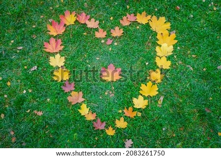 Heart made of autumn maple leaves on green grass