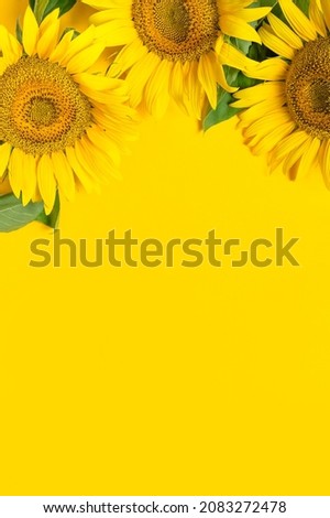 Beautiful sunflowers floral card. Creative background with yellow sunflowers, green leaves Flat lay. Template for design. Harvest time agriculture farming Sunflower yellow background 