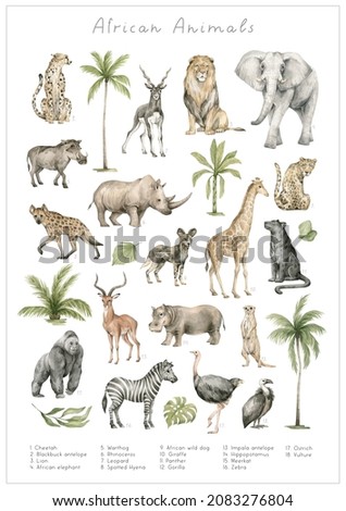 Watercolor African wild animals. Cheetah, blackbuck antelope, lion, elephant, warthog, rhinoceros, giraffe, leopard, spotted hyena,  African wild dog, planter, impala, hippopotamus, zebra, gorilla