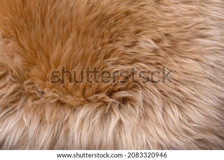Trendy brown artificial fur texture. Fur pattern top view. Brown fur background. Texture of beige shaggy fur. Wool texture. Flaffy sheepskin close up Royalty-Free Stock Photo #2083320946