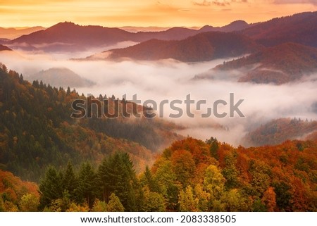 Misty foggy autumn mountain landscape with fir forest and copyspace in vintage retro hipster style.. Fall season in Slovenia