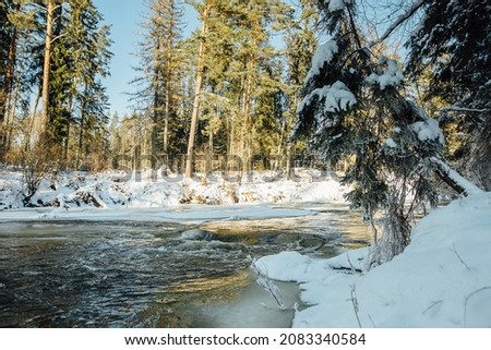 A sunny winter day by a small river. The river water is slightly frozen. Spruce and other trees snowed