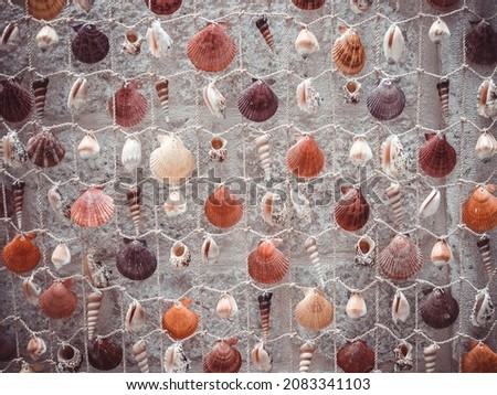Background from colorful seashells on stone backing. Close-up shot. Texture from art shells for a post, screensaver, wallpaper, postcard, poster, banner, cover, header for a website