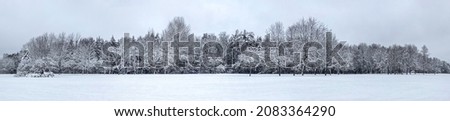panoramic winter landscape. forest trees covered by freshly fallen snow. Royalty-Free Stock Photo #2083364290