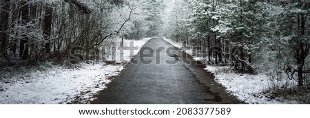 Pathway through the evergreen forest after a blizzard. Mighty trees covered by the first snow. Atmospheric landscape. Idyllic rural scene. Winter wonderland. Pure nature, climate, seasons
