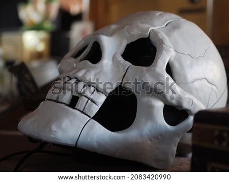 Plastic skull sold in the antique market
