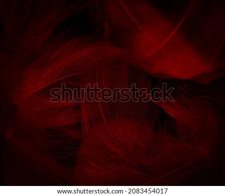 Beautiful abstract red feathers on black background, yellow feather texture on colorful pattern and red background, orange feather wallpaper, love theme, wedding valentines day, red gradient