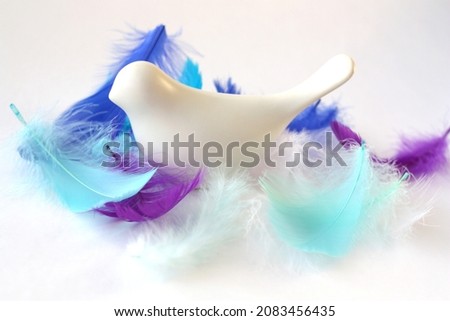 The symbolic bird builds a nest from multi-colored feathers. Selective focus. Free space for text. Horizontal photo, white background.