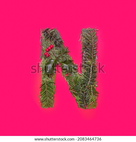 Festive, winter, christmas season natural pine, holly branches, red berries, unique collection of letters, numbers and symbols. Letter N