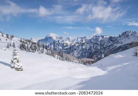 Christmas holiday landscape from alps with snow mountain and tree snow covered. background of alps winter season