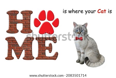 An ashen cat in a red bow tie is sitting near the text Home is where your cat is. White background. Isolated.