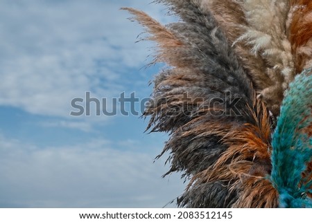 Reeds close-up against a blue sky with clouds, natural natural background. Selective focus on autumn multi-colored reeds. Natural background, backdrop for advertising