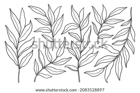 Set of abstract twigs with leaves isolated on a white background. Vector hand-drawn illustration in outline style. Perfect for cards, logo, decorations, invitations, cosmetic designs. Royalty-Free Stock Photo #2083528897