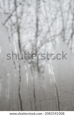 misted glass with water drips.
trees outside the window.
winter