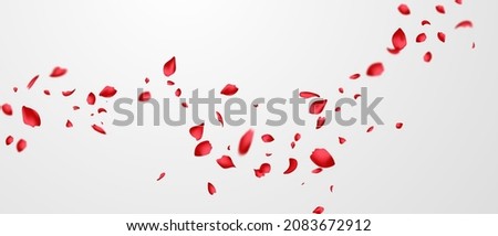 Red rose petals will fall on abstract floral background with gorgeous rose petal greeting card design. Royalty-Free Stock Photo #2083672912