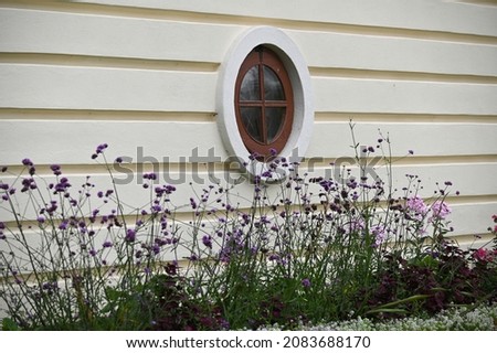 a fragment of the facade of a historic building with a round window and high flowers growing in front of it