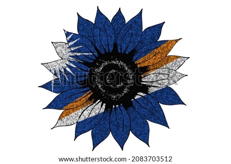 Big drawn glitter sunflower in colors of national flag. Marshall Islands