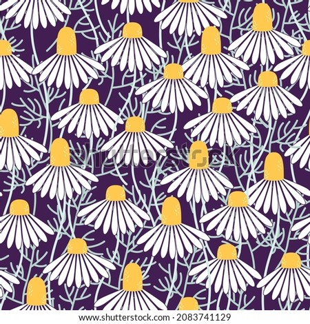 Seamless pattern. Flowers and leaves of chamomile. 