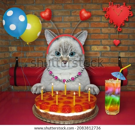 In the restaurant an ashen cat is eating a layer jelly cake with seven candles and drinking juice.