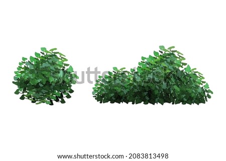 Ornamental green plant in the form of a hedge.Realistic garden shrub, seasonal bush, boxwood, tree crown bush foliage. Royalty-Free Stock Photo #2083813498