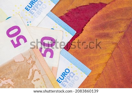 Euro currency on colorful autumn leaves.	