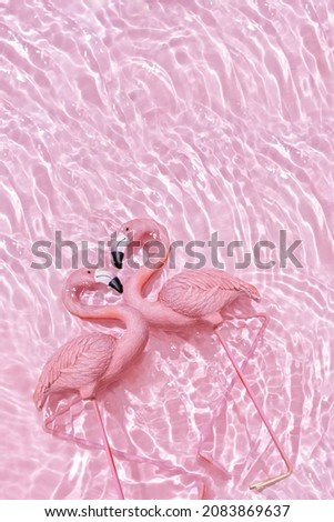 Two pink flamingos forming a heart in water pink background. Valentine's day concept
