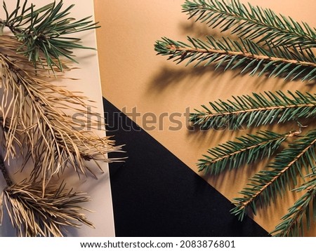 New Year's composition of green thin branches of the Christmas tree and dry yellow branches of pine on a brown, beige and black background represented by colorblocks with clear borders. Place for text